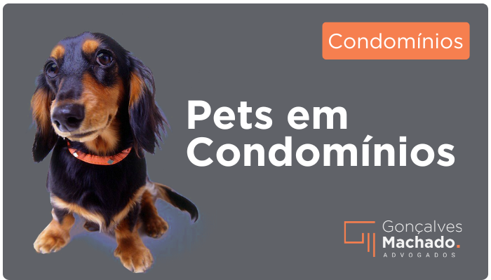 Pets em Condomínios